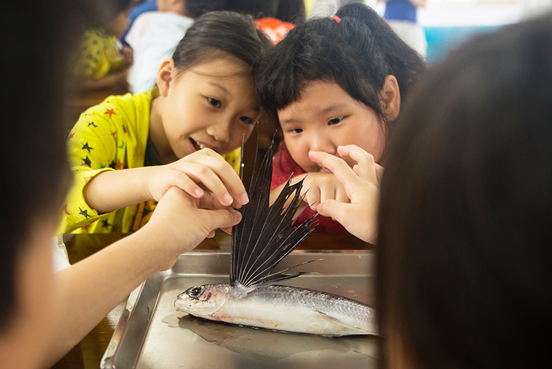 k2i328yhv0ks26gm4heubs0ca2t3x110