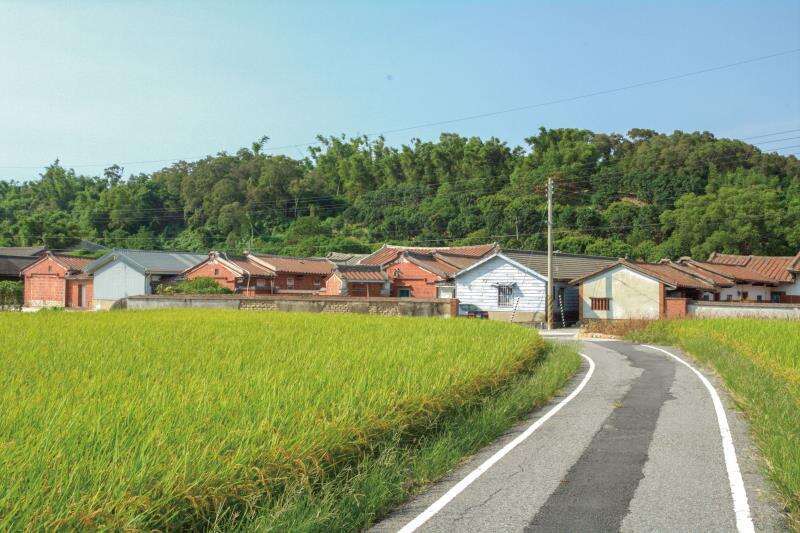 福興南和休閒農業區 社區車道