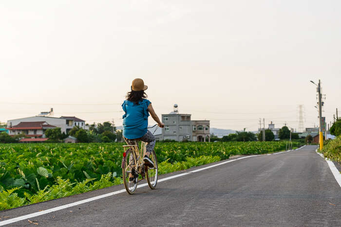騎乘單車穿越田間，感受客庄魅力