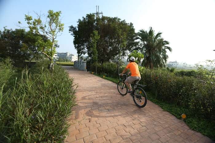 綠廊道是一條全長2.5公里自行車道。（圖片來源：水流東休閒農業區官網）