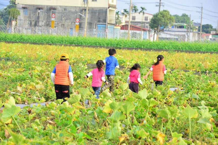 美濃休閒農業區的農遊體驗。