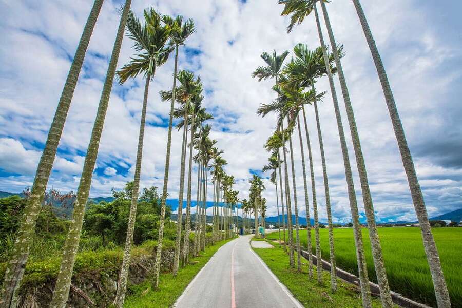 被譽為台東最美單車路線之一的關山環鎮自行車道。(圖片來源:花東縱谷國家風景管理區)