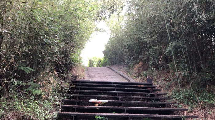 頂岩灣四格山步道
