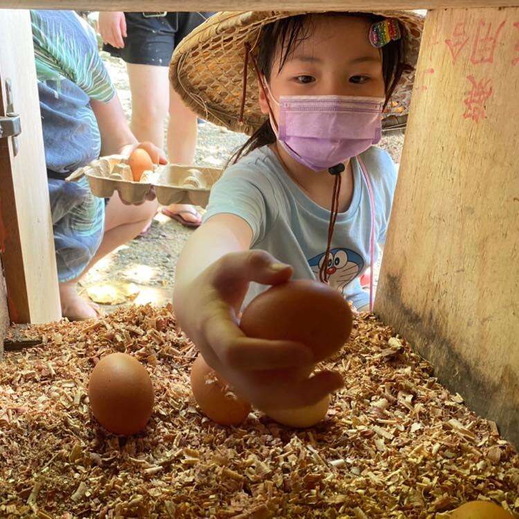 小朋友小心翼翼的撿起生雞蛋。