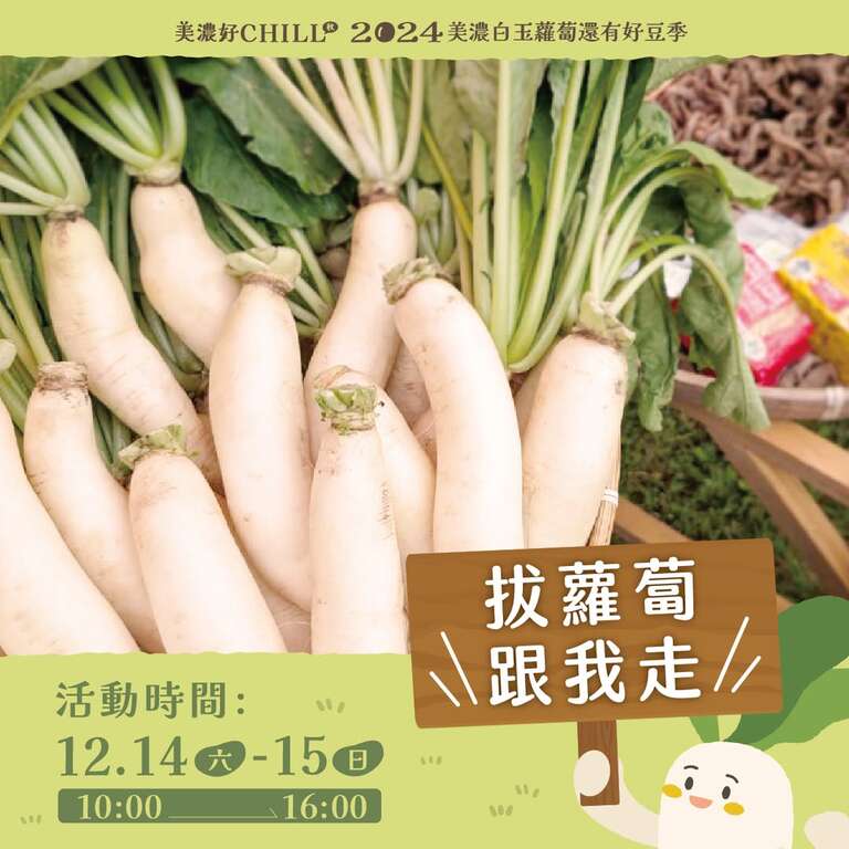 469110119_1136399421827446_9214628925151394670_n