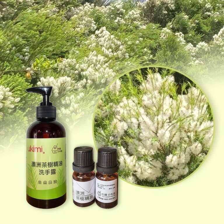 澳洲茶樹精油洗手露