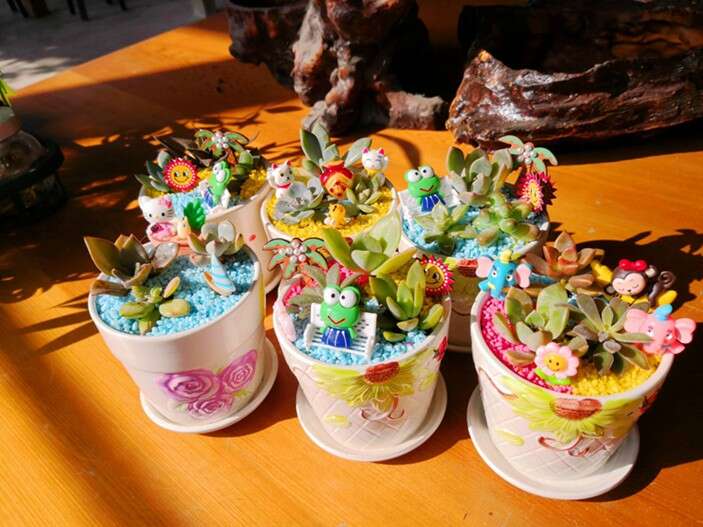 隨喜好在盆栽內放上擺件，增添趣味性。