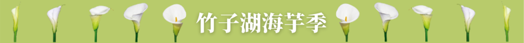 標題:竹子湖海芋季