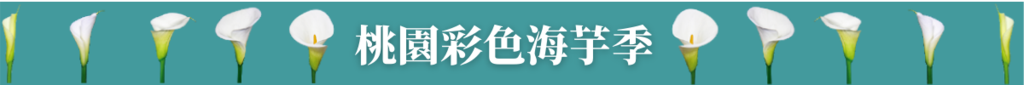 標題:桃園彩色海芋季