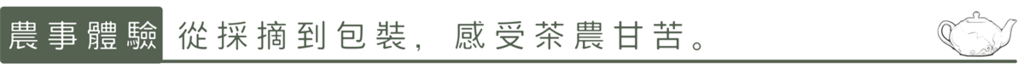 農事體驗:從採摘到包裝，感受茶農甘苦。