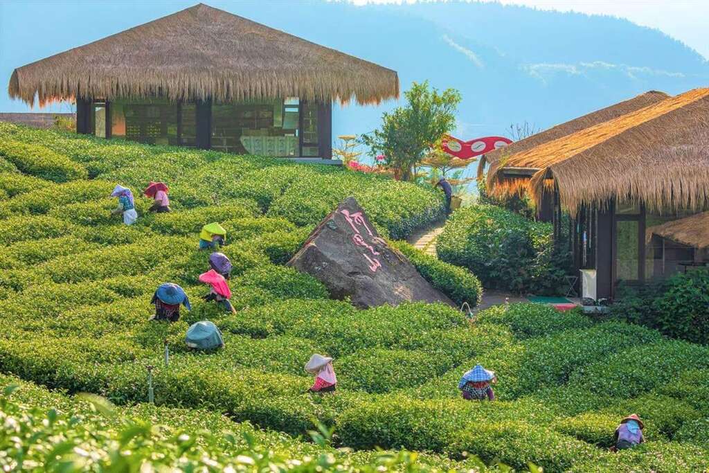 位在阿里山鄉的優遊吧斯。