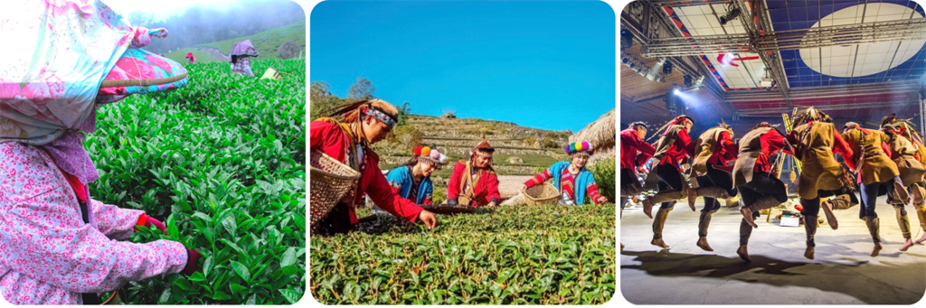 認識鄒族的部落文化。