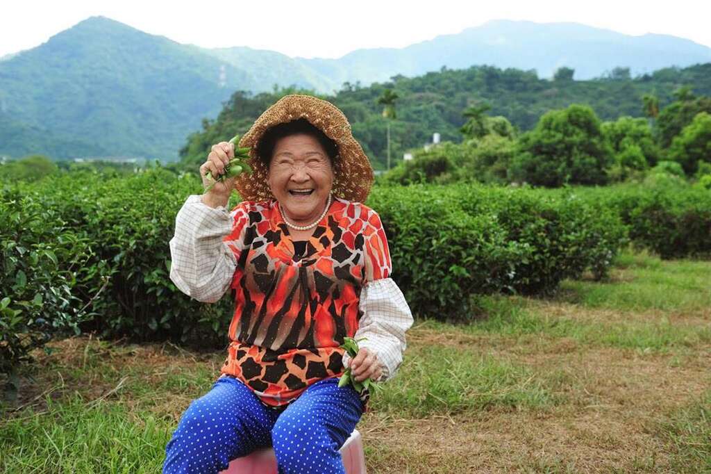 友善栽培的星源茶園。