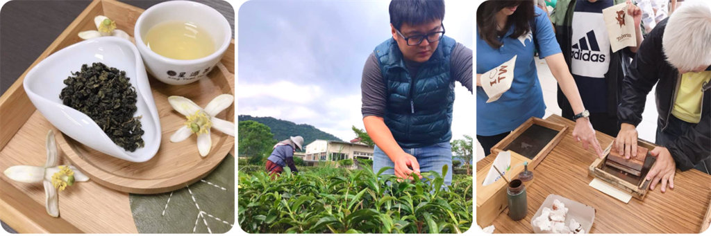 體驗綠茶冰淇淋DIY、結合手作絹印的「絹印茶香枕頭」。