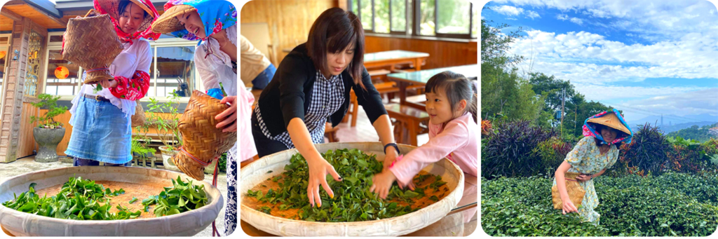 體驗親手採茶製茶程序的樂趣。