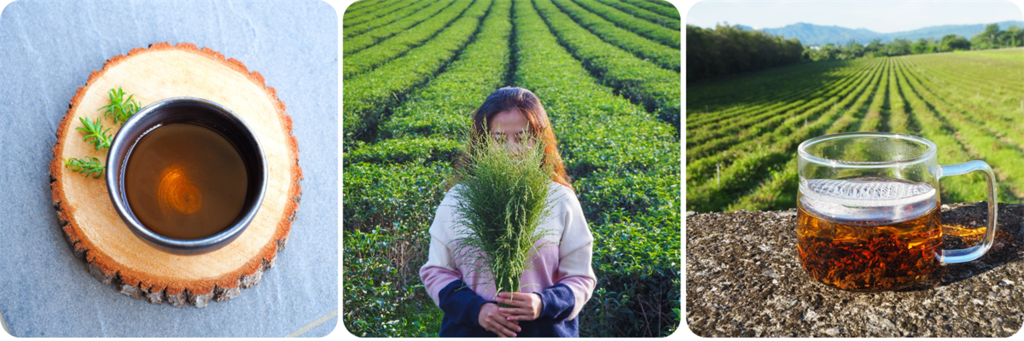 將水果與茶結合，研發出「38果茶」。