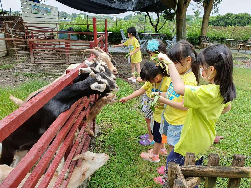 中原世紀休閒農場-小動物餵食體驗