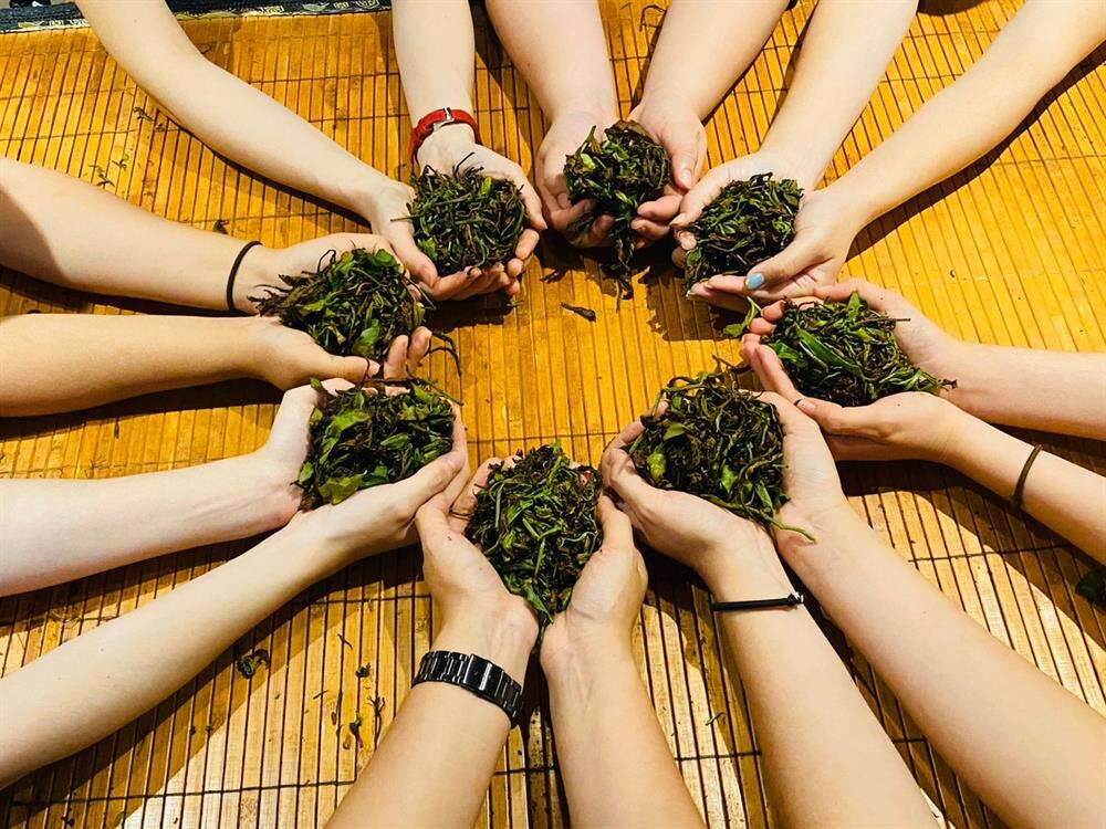 日月潭日月山莊休閒農場