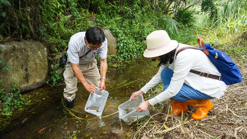 南投- 親子皆宜的魚蝦生態探索體驗