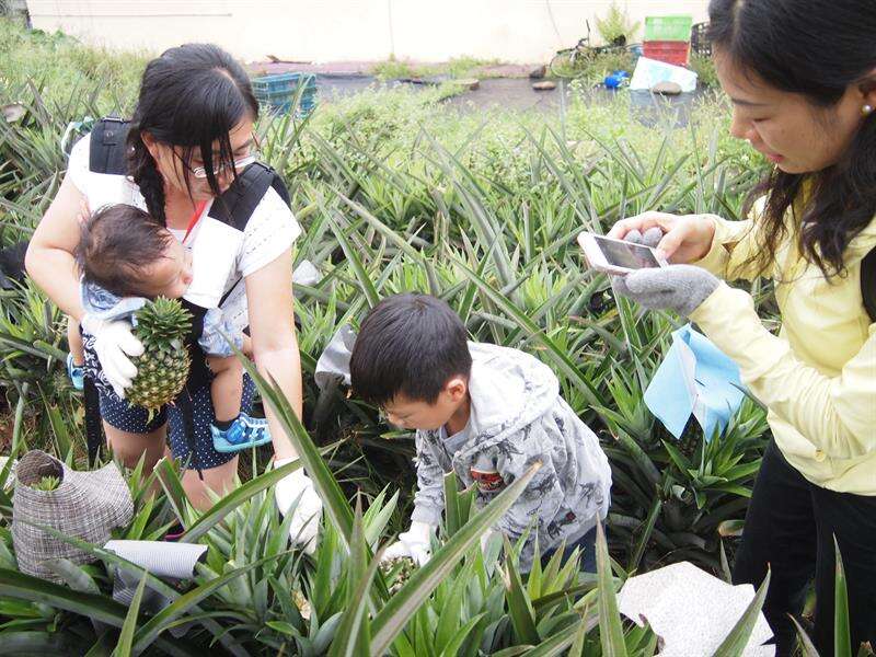 高雄- 放羊趣 採果樂 大樹農遊真好玩