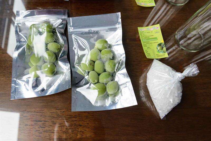 花蓮- 花蓮富里呷米、採梅樂