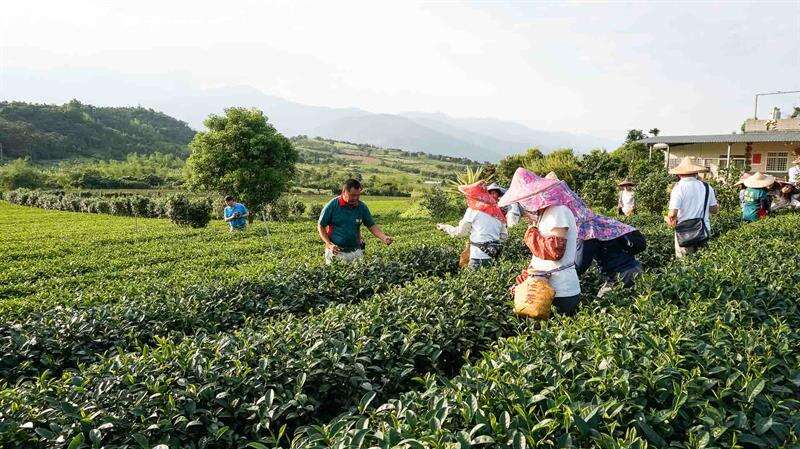 花東- 花東親土地，8種親子旅遊樂趣玩法