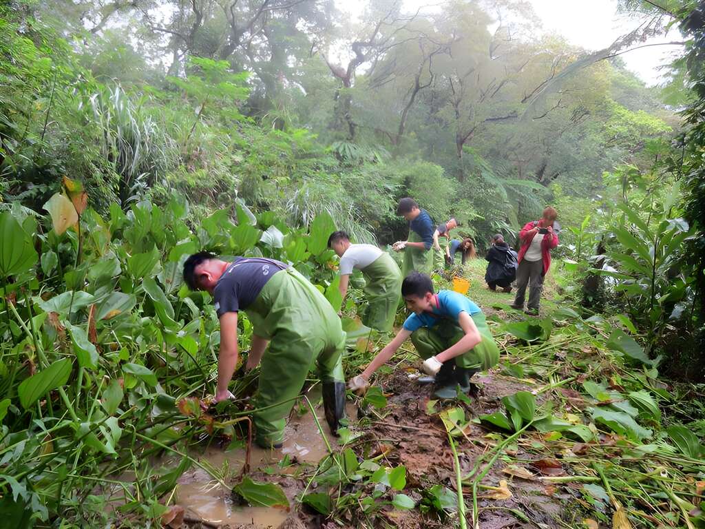 新北- 阿里磅生態農場的自然觀察之旅