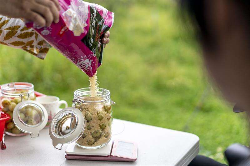 現場製作的醃蜜餞，餘甘子與砂糖的搭配，口感酸甜而不膩（攝影：張家瑋）