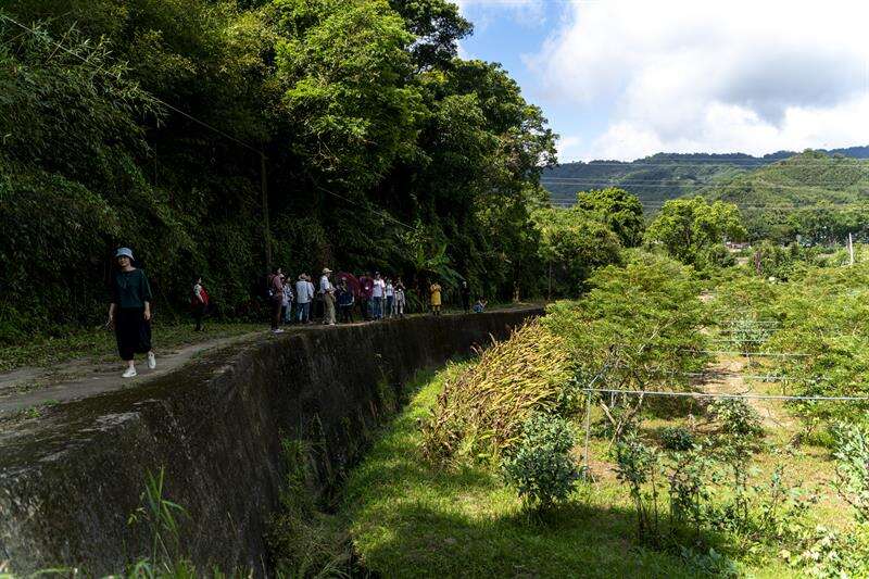 范爸爸的樹重奏理念，體現於樹種多樣化與環境友善當中（攝影：張家瑋）