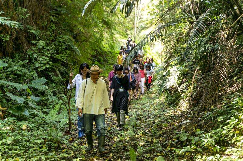 樹重奏堅持以環境永續的方式，在去除農園蟲害的同時保護生態平衡（攝影：張家瑋）