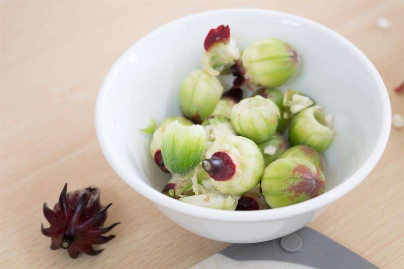 洛神葵以採收果萼為主