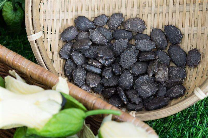 木虌果清理乾淨後的黑色種子；種子本身有微毒不宜食用