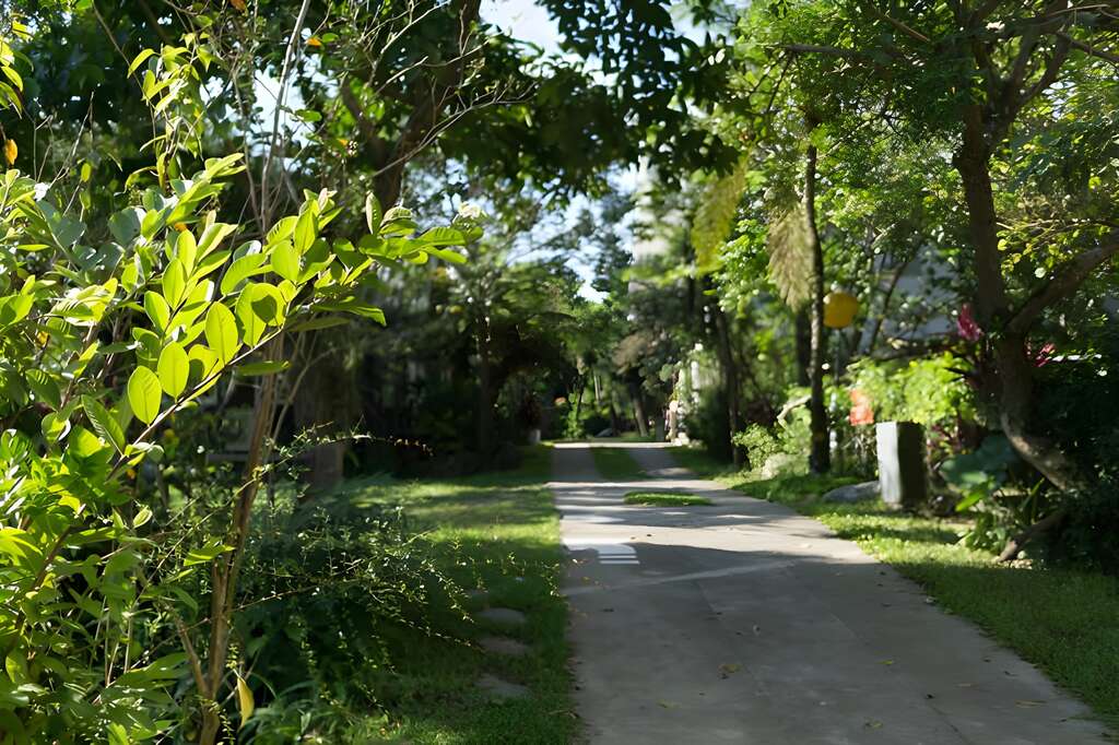 隔日，在鹿野雁窩民宿撒落的陽光中起床，我們驅車前往臺東市區