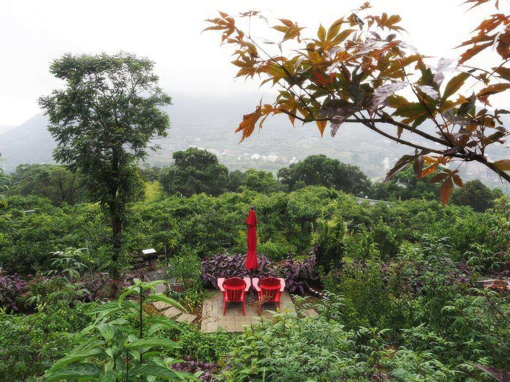 農場內能欣賞到多種植物和飛舞斑蝶，還能聞到淡淡花香、果香。