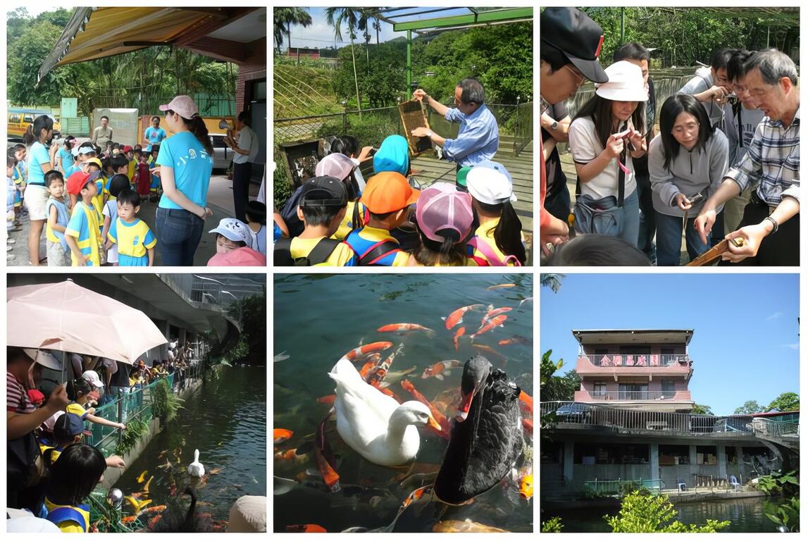 農場特別準備豐富的DIY項目