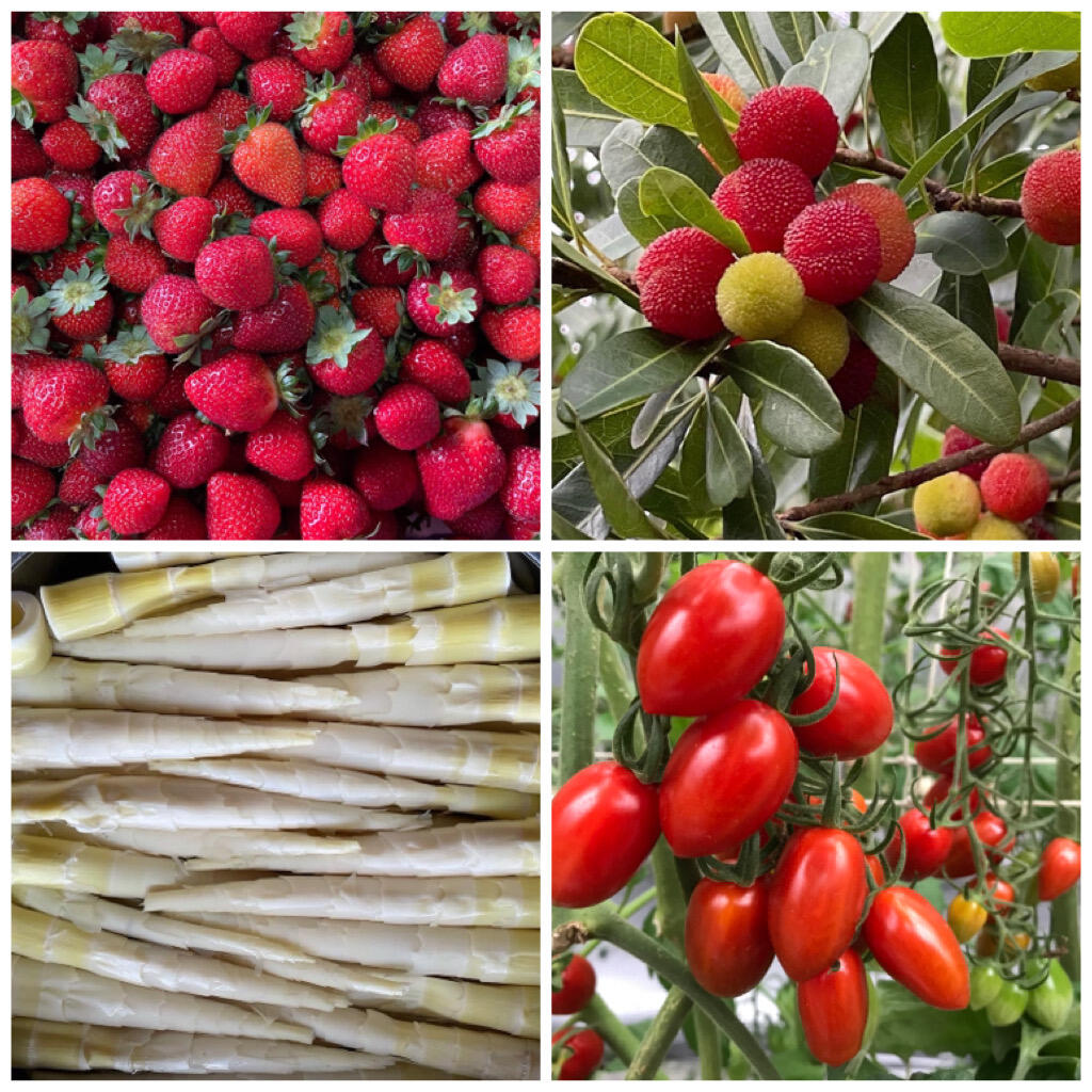 🎉採蔬果滿千送百大優惠🎁