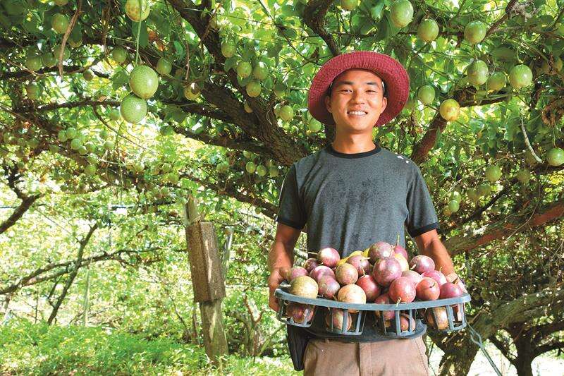 雲也居一栽種百香果、南瓜等多種蔬果，歡迎遊客走入果園田間