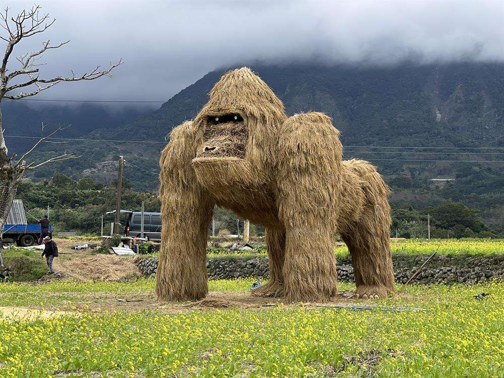 富里鄉農會設置的稻草藝術作品