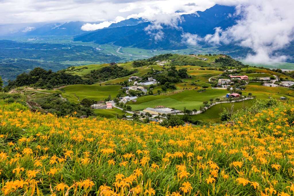 六十石山擁有能將金針花與花東縱谷同框入鏡的開闊視野