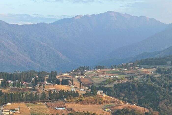梨山高海拔、高溫差的特性，讓水蜜桃更加甘甜