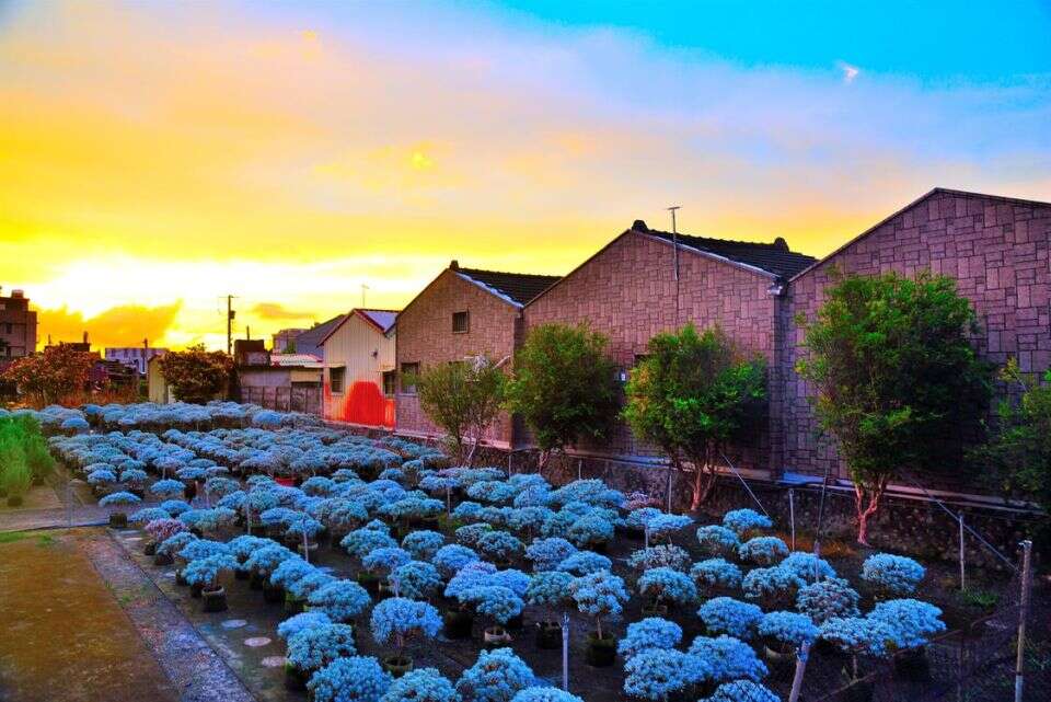 公路花園休閒農業區