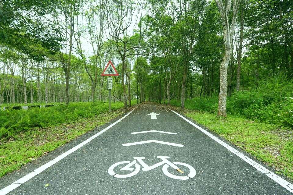 大農大富平地森林園區有多條腳踏車道