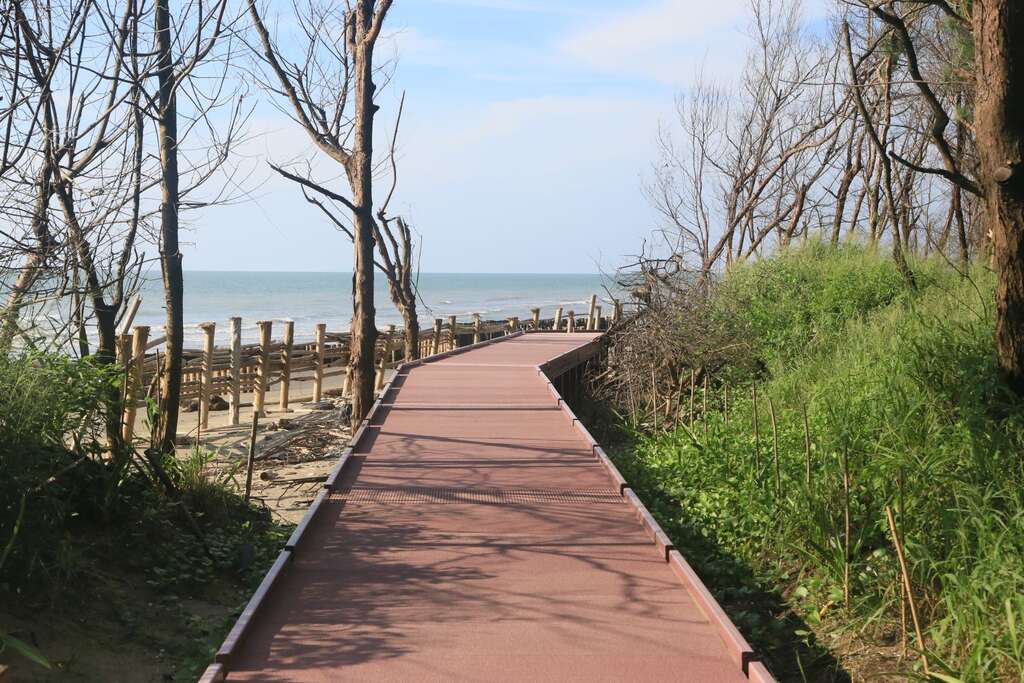 循著木棧道可前往網仔寮汕的西岸，眺望台灣海峽