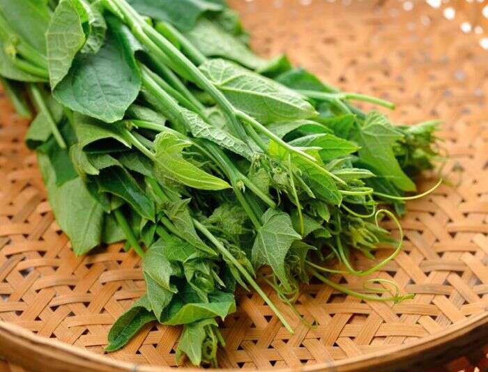 在許多地方鄉鎮都能發現具代表性的農產品