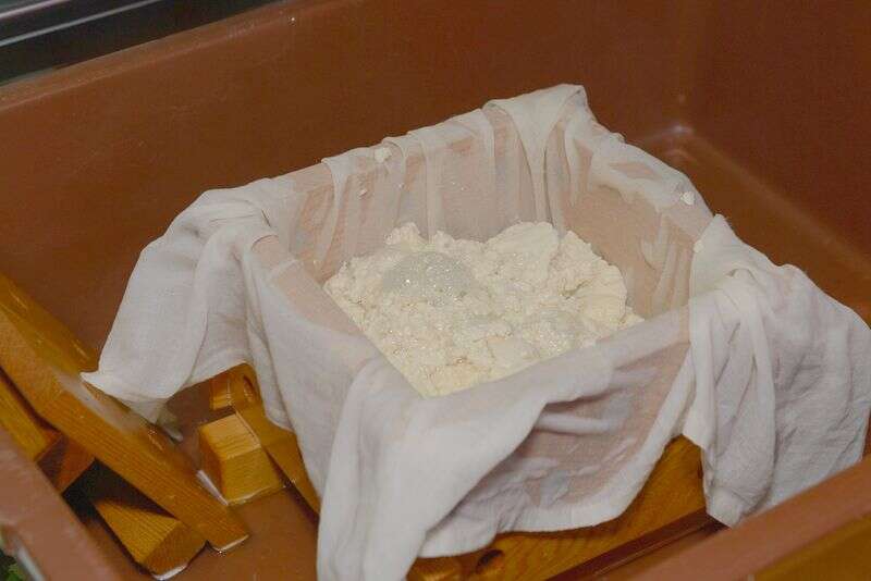 到羅山體驗做泥火山豆腐