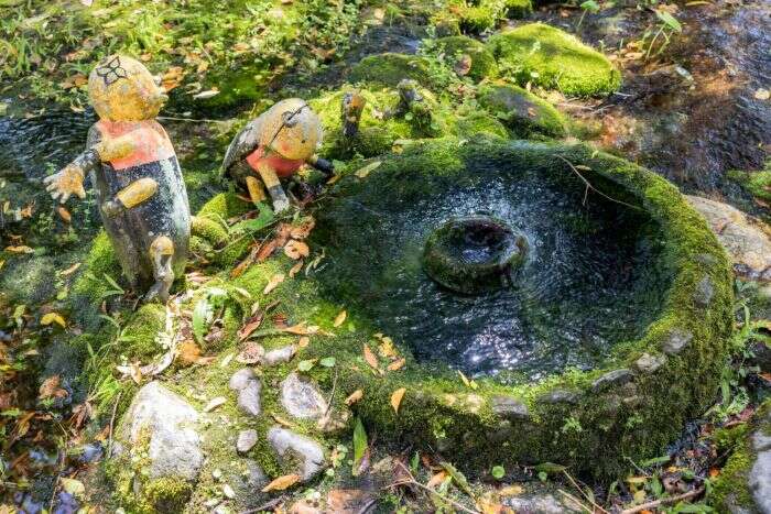 馬太鞍濕地湧泉