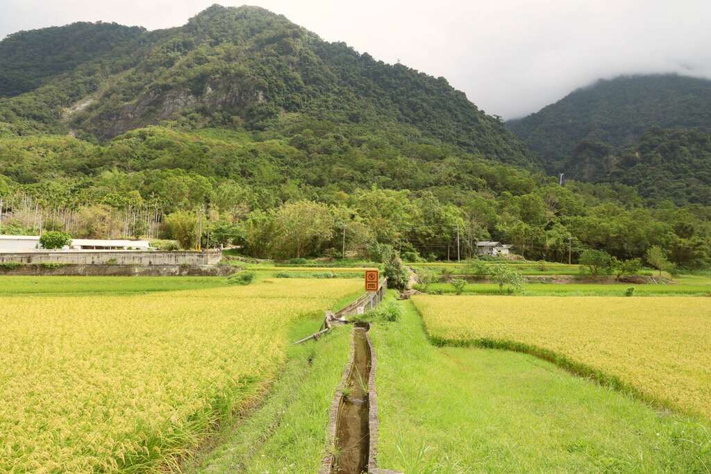 羅山有機村