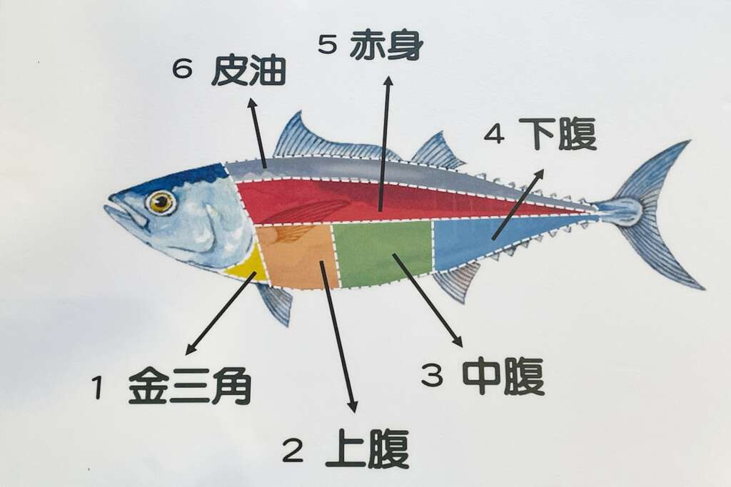 油花最豐富的金三角是最頂級部位（圖片來源大小港邊 熱帶漁林）
