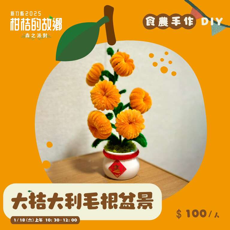 大桔大利毛根盆景​_圖片取自新竹縣柑桔的故鄉