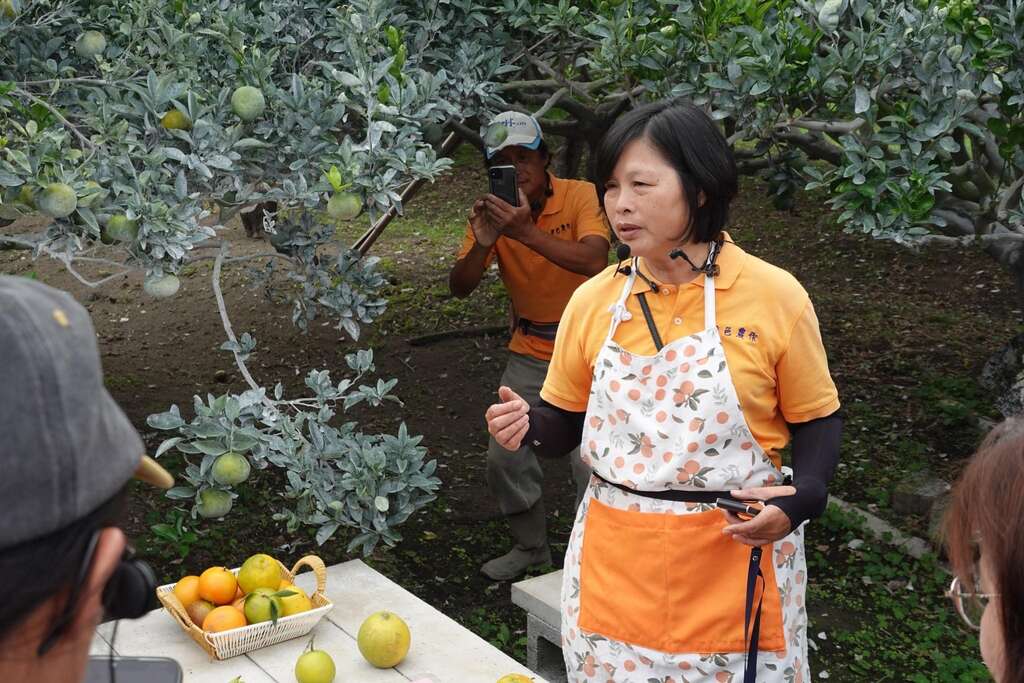 橙色農作休閒果園02